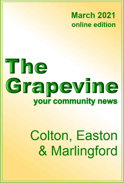The Grapevine June 2020